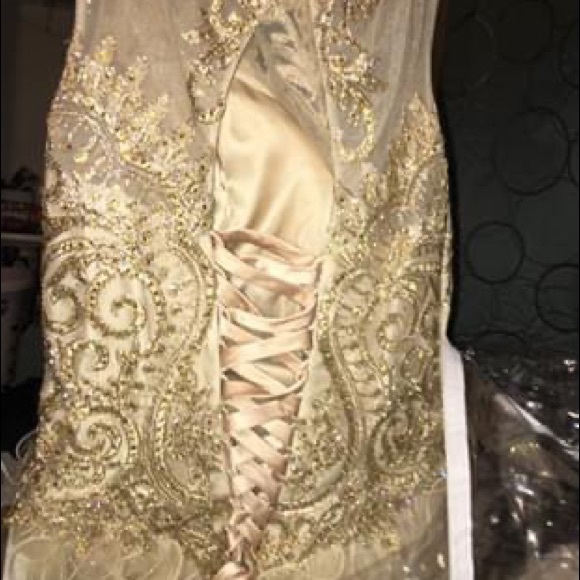 Quincenera Dress - Picture 3 of 8